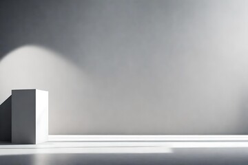 Obraz premium empty room with wall