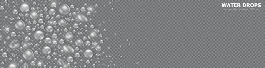 Fototapeta premium Template of panoramic banner with realistic pure water drops frame on transparent background. Header with 3d shiny dew, water blobs. Vector billboard with rain droplets or aqua splashes overlay
