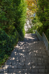 東京港区赤坂4丁目の石階段