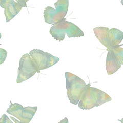 illustration for wallpaper, seamless pattern, colorful butterflies isolated on white background