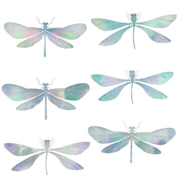 collection of delicate watercolor dragonflies. set of drawings of abstract insects with wings.