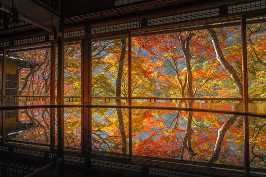 紅葉リフレクション（京都・嵐山夢祐斎）