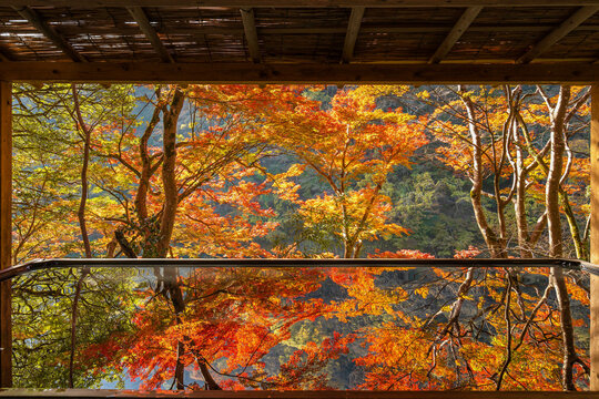 水鏡に映り込む紅葉リフレクション（京都・嵐山夢祐斎）