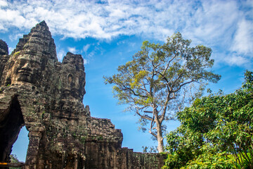 Fototapeta na wymiar the gate of Angkor Thom. Each sandstone tower rises 23 meters to the sky and is crowned with four heads, one facing each cardinal direction. 