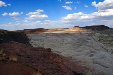 Rugged and Desolate Landscape Petrified Forest Arizona