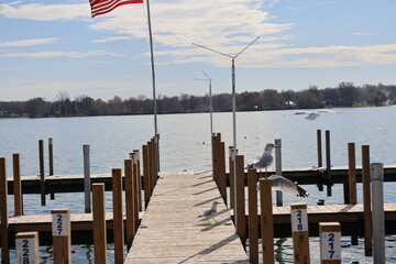 Wooden dock in the Marina over the lake in the winter. Taken over by seagulls. 