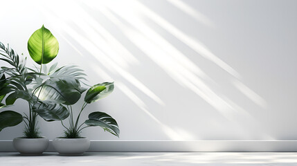  Blurred Leaf Shadows on White Background.white wall Minimal abstract background for product presentation Spring and summer.AI Generative 