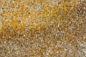 Orange Green And Black Lichen On Rock