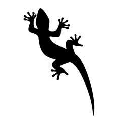 Silhouette of a lizard walking on a wall on a white background.
