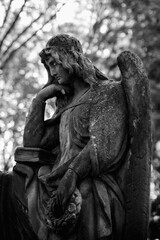angel statue in the cemetery