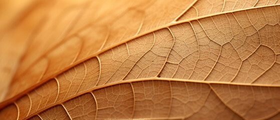 Close-up nano photo of a dry leaf.