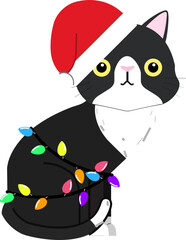 Cute cat wearing a red Santa Claus hat with its body adorned with bundled light bulbs