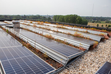 eco solar panels on the roof