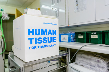 Box used for the transport of human tissue organs in a hospital ward clinical room. 