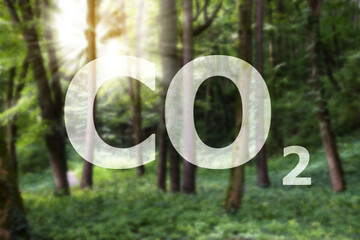 Concept of clear air. CO2 inscription and beautiful forest