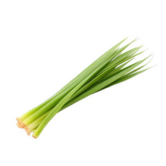 Celery Plant