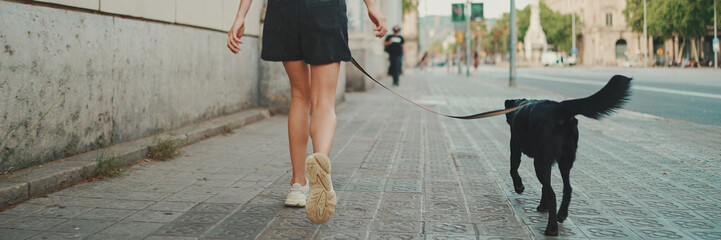 Girl walks down the city street with her pet.
