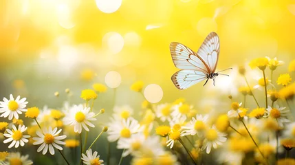 Foto op Plexiglas A white butterfly on a flower,Natural summer with grass and a fluttering butterfly ,Abstract wallpaper for desktop,Beautiful landscape images.AI Generative  © kin