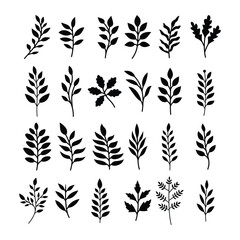 Set of branch and leaves vector	