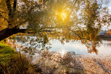 Autumn foliage in Catherine park, Pushkin, Saint Petersburg, Russia