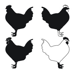 Сock, cockerel, rooster, chicken, hen, chick, position standing, poultry silhouette hand drawn