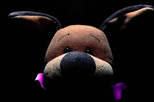 Toy dog face in the dark. Plush toy dog in the dark room