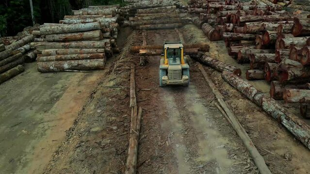 Aerial drone footage: Wheel loader organizing logs in a timber storage yard in the heart of the brazilian Amazon rainforest