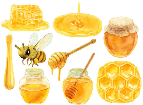 はちみつ　素材集　水彩画　はちみつ入り瓶　ハニーディッパー　垂れる蜂蜜