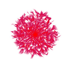 Pink Flower Vector