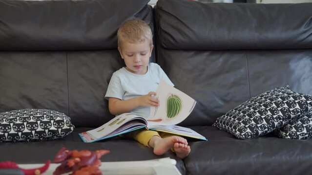 toddler child little boy looking at pictures in children book sitting on sofa at home