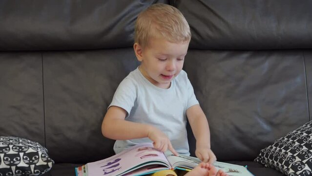 toddler child little boy looking at pictures in children book sitting on sofa at home
