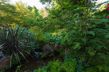Giardini la Mortella ad Ischia. Laghetti, piante, fiori da tutto il mondo. Una vegetazione rigogliosa e un paesaggio naturale