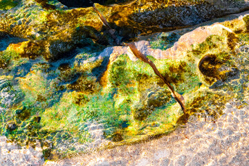 Stones rocks corals turquoise green blue water on beach Mexico.