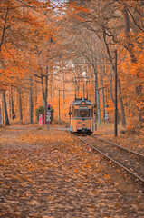 alte Stra&szlig;enbahn