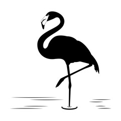 black silhouette of flamingo on white background