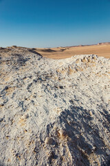 Shells in the desert former ancient ocean bottom Egypt