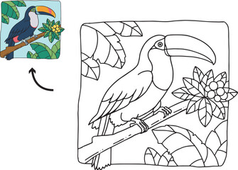 Cute kawaii toucan bird coloring pages
