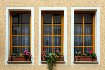 Three rectangular windows with flowers on the windowsill, with orange frames on a beige wall...
