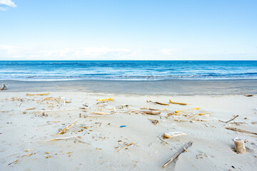 漂流　大木　ごみ　海