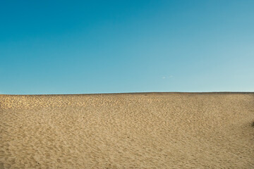 Naklejka premium 砂漠 砂丘 青空 風景