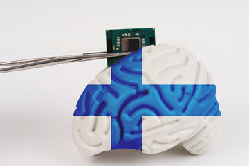 Implanting a microcircuit into a brain model with an image of the flag - Finland.