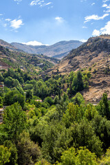 Obraz premium Scenic view of the pass in the mountainous region of Faraya. Republic of Lebanon