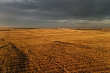 Naklejka premium a mown wheat field in the gloomy dawn light