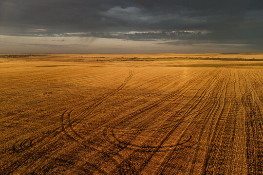 a mown wheat field in the gloomy dawn light