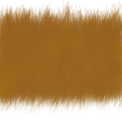 grass on the white background