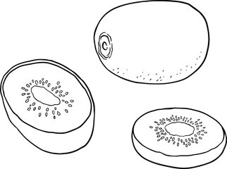 Kiwi fruit illustration clip art cartoon. Line vector set