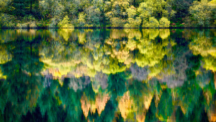 Autumn colours at Llyn Onn reservoir in the Brecon Beacons. The leaves have changed green to orange, gold, red and yellow. The vibrant seasonal hillside colours are mirrored in the water below - obrazy, fototapety, plakaty