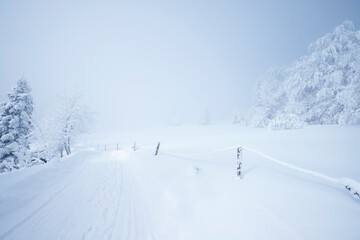 Krajobraz zimowy w górach, białe zaśnieżone drzewa
