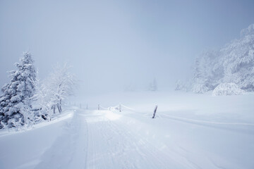 Krajobraz zimowy w górach, białe zaśnieżone drzewa - obrazy, fototapety, plakaty