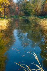 Reflection of trees in the lake in Sofievsky Park in autumn, Uman